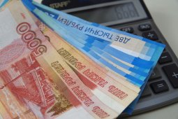 Задолженность предприятий Воронежской области по зарплате снизилась в 1,6 раза за год