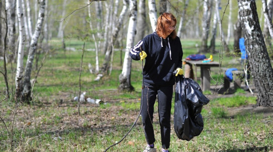 Добровольцы очистили от мусора Березовую рощу под Бобровом