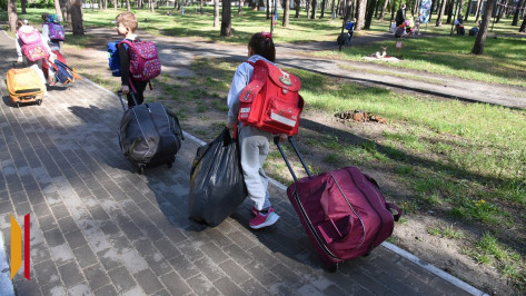 В Воронеже определили максимальную стоимость путевок в детские лагеря на лето 2026 года