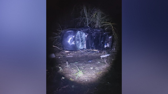 В Воронежской области «Лада Приора» съехала с дороги и опрокинулась: погибла женщина