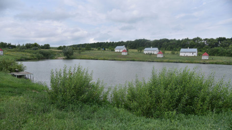 Из водоемов Воронежской области изъяли 17 км сетей в период нерестового запрета