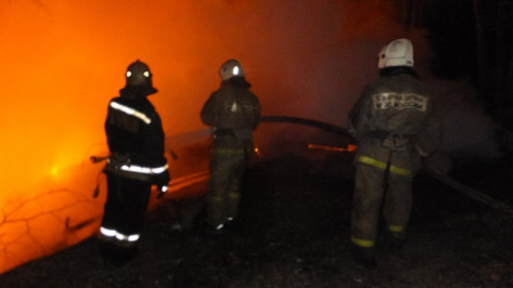 Рыбацкие домики в Воронеже потушили 24 спасателя