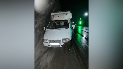 В Воронежской области водитель грузовой «Газели» насмерть сбил пешехода