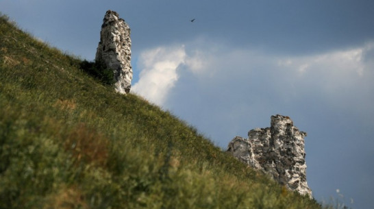 Музей «Дивногорье» попросил у воронежцев помощи в подготовке экспозиции