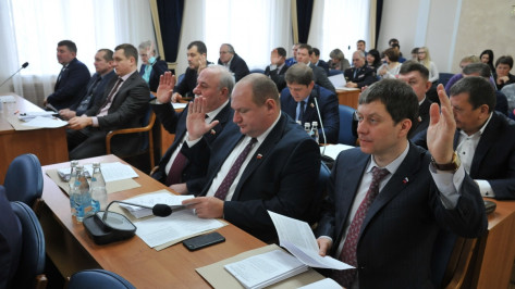 Депутаты утвердили состав комиссии по выборам мэра Воронежа 