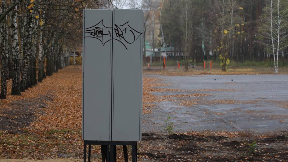 Воронежский парк «Танаис» подвергся атакам вандалов