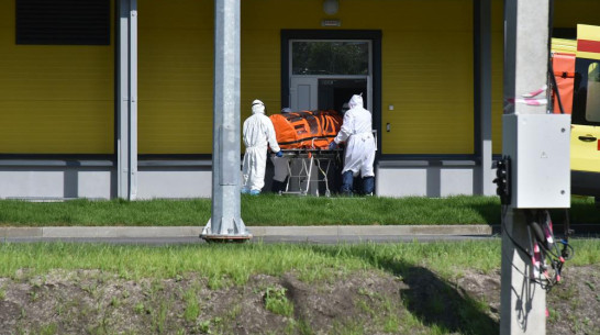 Еще 16 человек скончались от COVID-19 в Воронежской области