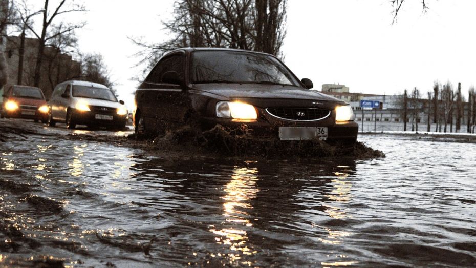 Фото РИА «Воронеж»: последствия февральского дождя
