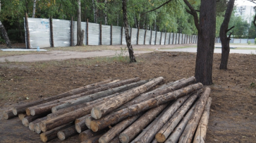 В воронежском парке «Танаис» снесли 12 незаконных киосков
