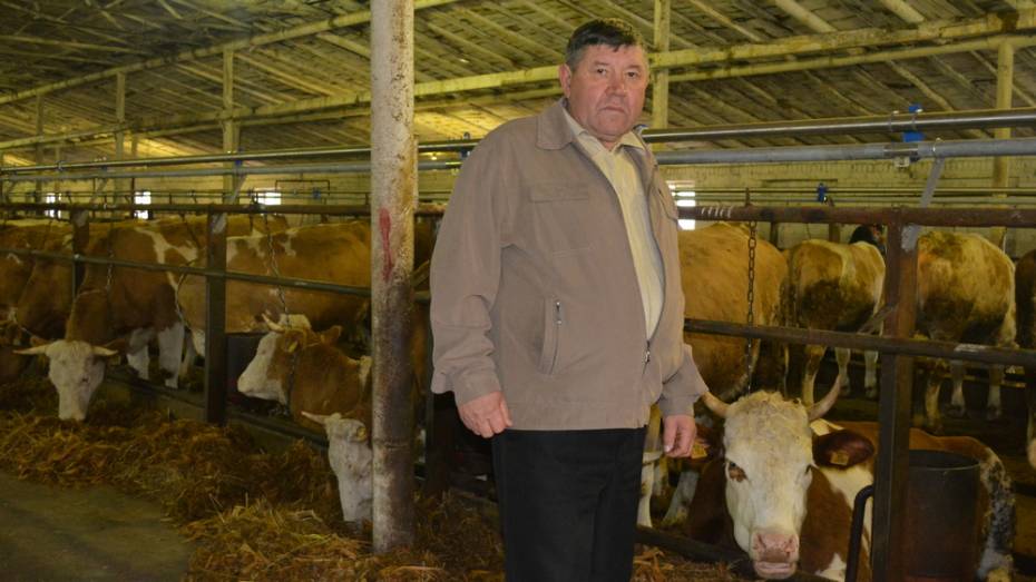 Нижнедевицкий фермер на развитие мясо-молочного животноводства получил около 16 млн рублей