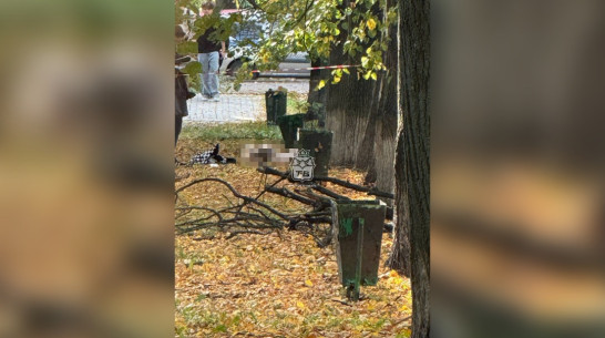 Тело 23-летней девушки нашли в Центральном районе Воронежа