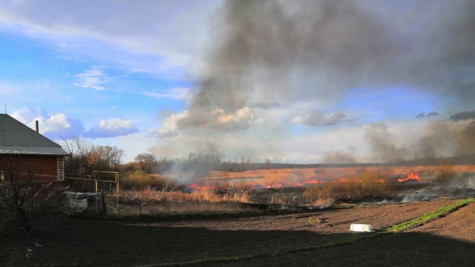 В Бобровском районе выгорело 2 га камыша
