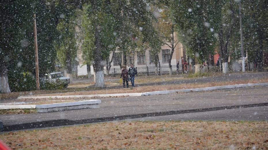 В Поворинский район досрочно заглянула зима