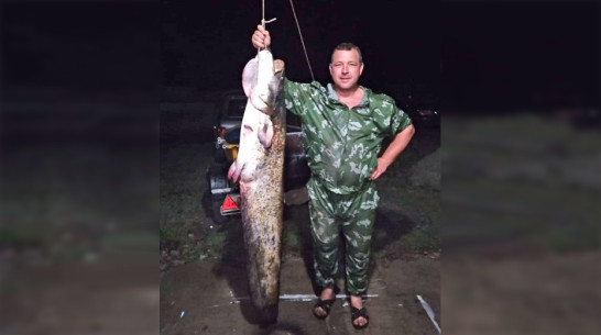 Воронежские рыбаки поймали в Дону 2-метрового сома
