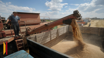 В Воронежской области признали недействительными декларации на 843 тыс тонн зерна