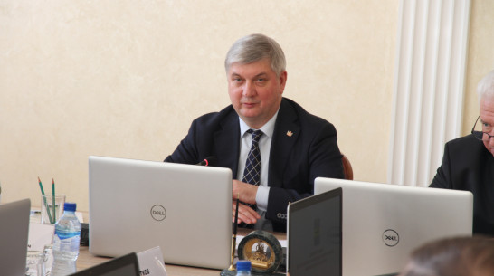Губернатор Воронежской области дал старт подготовке к общероссийскому голосованию