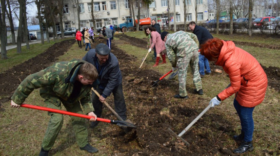 В парках Рамони высадили более 300 деревьев