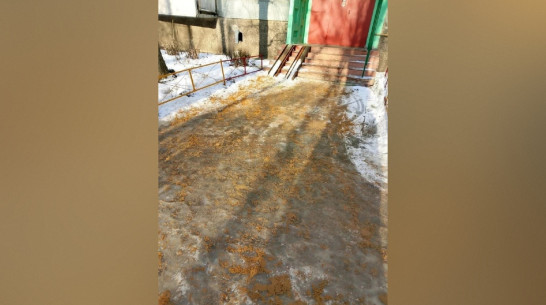 Воронежский губернатор: «Результат уборки тротуаров нас пока не устраивает»