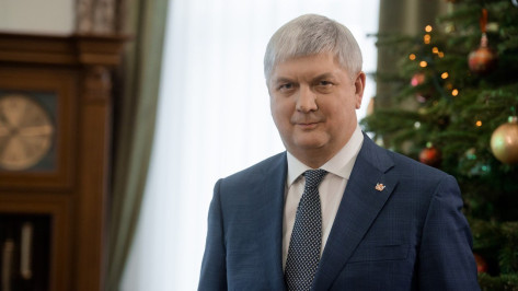 Губернатор Александр Гусев поздравил воронежцев с Новым годом и Рождеством
