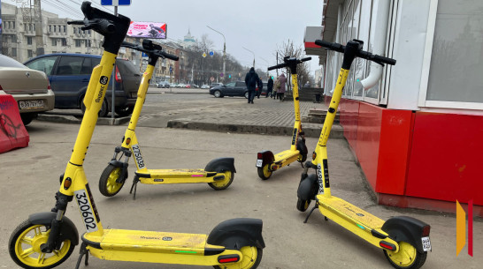 Воронежцев предупредили о мошенничестве при аренде самокатов и велосипедов