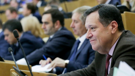 Депутаты Госдумы от Воронежской области получили места в 9 комитетах