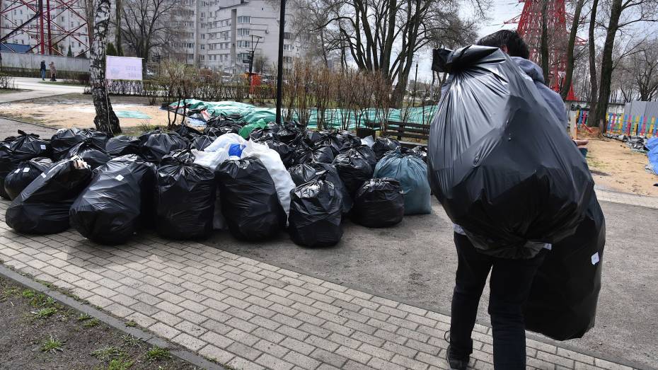 Во время Всемирного дня чистоты в Воронежской области собрали 320 мешков отходов