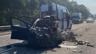 В массовом ДТП на трассе в Воронежской области погибли два человека