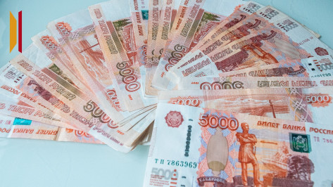 Оборот розничной торговли в Воронежской области вырос на 8,7 процента