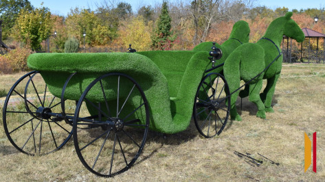 В Новохоперске установили самую большую в районе топиарную конструкцию