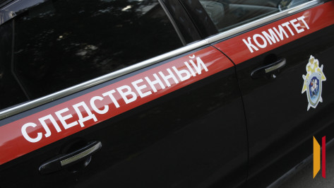 Пятеро воронежцев похитили человека из-за 30 млн рублей