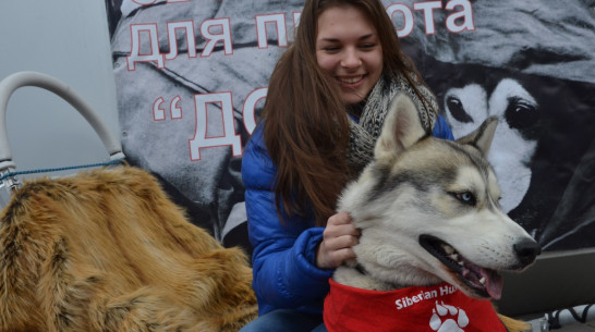 Воронежские зоозащитники развернут палатку помощи у памятника Биму