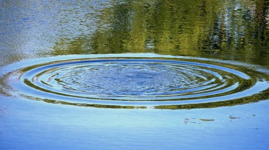 В Нижнедевицком районе в пруду обнаружили труп мужчины