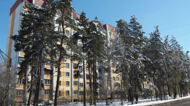 Температурный рекорд поставлен в Воронеже 13 февраля