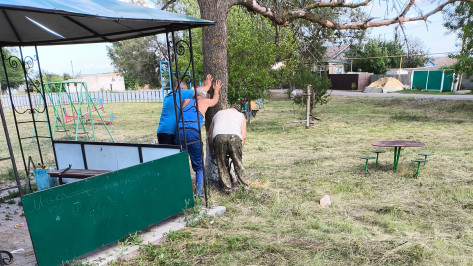 В верхнемамонском селе Приречное отремонтируют детскую площадку более чем за 900 тыс рублей