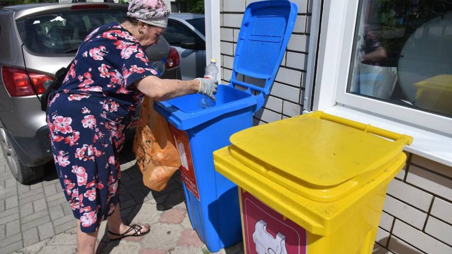 Мэр: «Ситуация с мусором в Воронеже изменится в 2021 году»