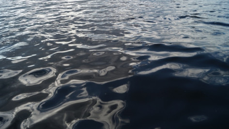 Под Воронежем на берегу реки нашли тело пожилого мужчины 