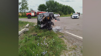 В воронежском селе Мамоновка «Лада Приора» врезалась в столб и перевернулась