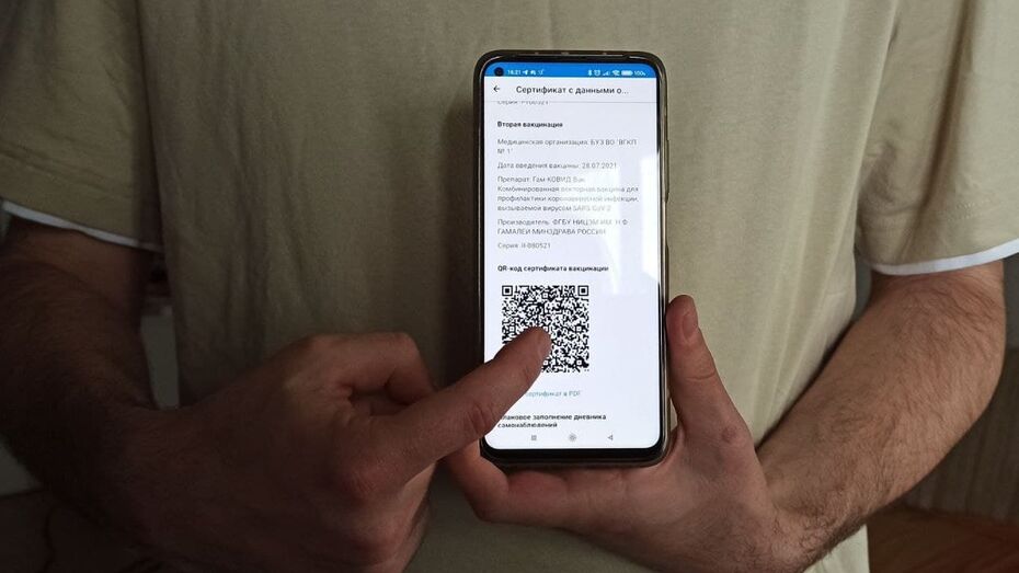 пцр тест с qr кодом в воронеже