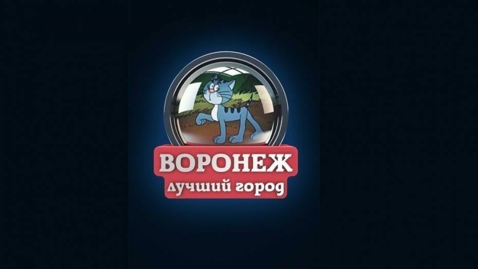 Администрация «ВКонтакте» разблокировала сообщество «Типичный Воронеж»