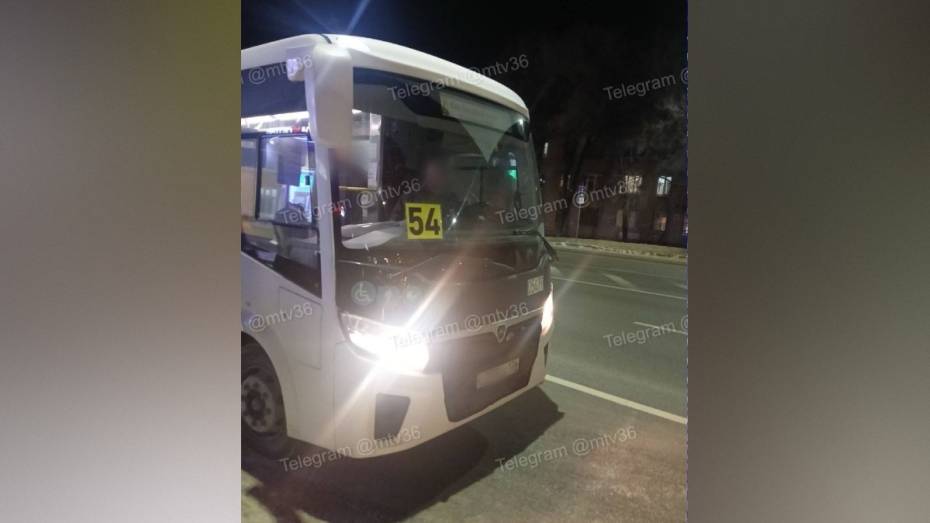 В Воронеже девушка, оплатившая проезд рваной купюрой, пожаловалась на хамство водителя