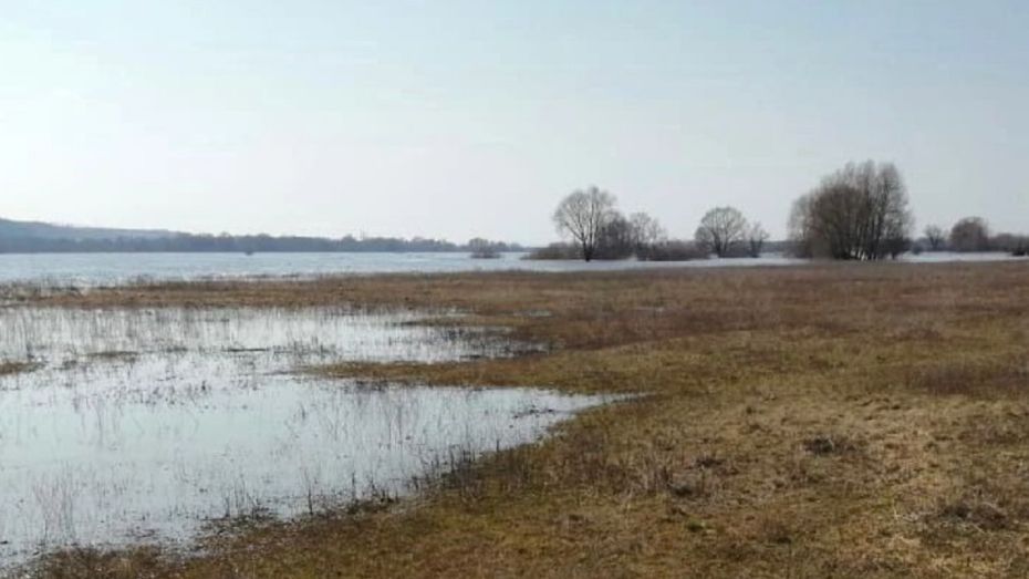 СК заинтересовался обстоятельствами гибели рыбаков на реке Дон в Воронежской области
