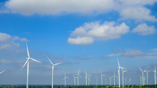 Да будет свет. Как в Воронежской области развивается альтернативная энергетика