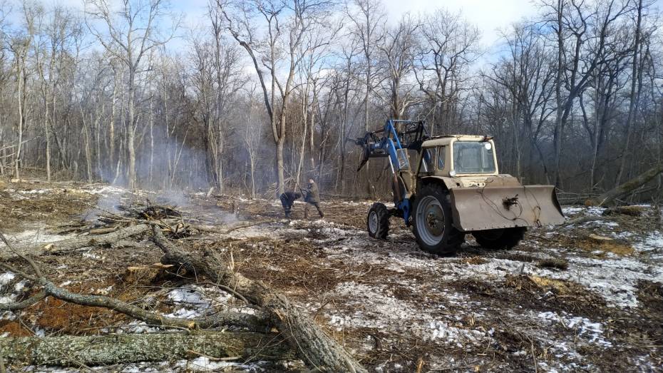 В Воронежской области началась расчистка горельников 2020 года