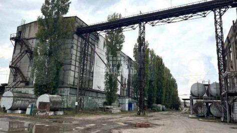 В Воронежской области за 550 млн рублей продается элеваторный комплекс