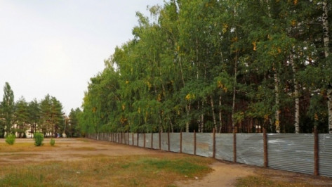 В Воронеже вместо аварийных домов появятся новые зеленые зоны 