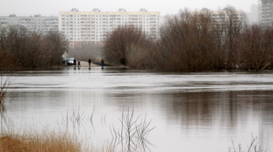 Семь мостов в Воронежской области оказались под угрозой затопления