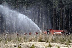 В Воронежской области объявили штормовое предупреждение из-за пожарной опасности