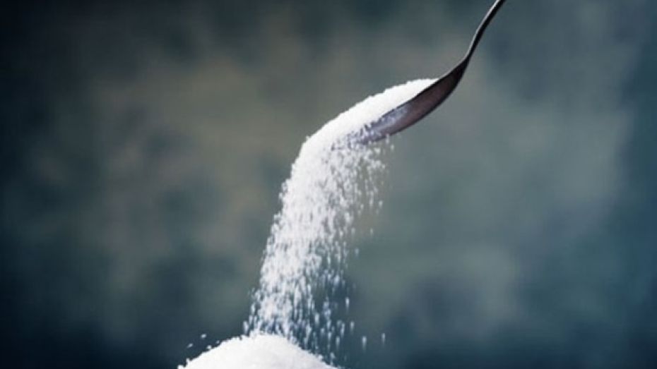 Хохольские переработчики сахарной свеклы лидируют в Воронежской области
