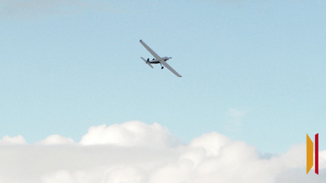 Три БПЛА сбили над Воронежской областью
