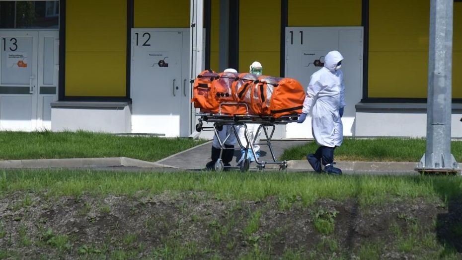 Почти 600 человек умерли в Воронежской области за время пандемии COVID-19